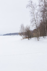 Fototapeta na wymiar Winter landscape in Russia, Istra lake and trees