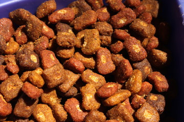 Dried food