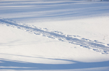Fototapeta na wymiar Ski tracks
