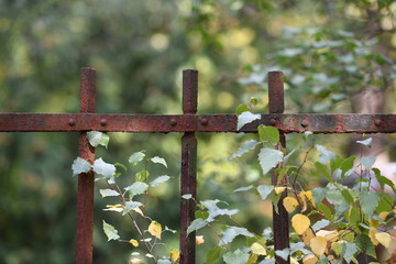 A rusty metal fence in front of a graveyard in Berlin-Germany on a warm and sunny autumn day.
