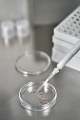 Process of in vitro fertilization in laboratory