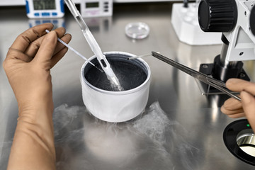 Process of in vitro fertilization in laboratory