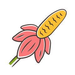 Mexican hat wild flower color icon
