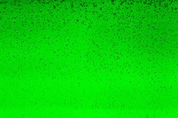 Floating bubbles in green liquid background texture.