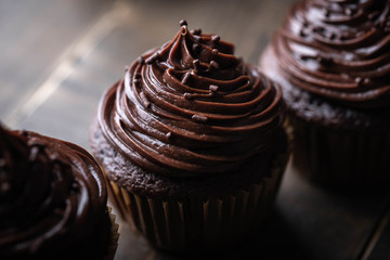 chocolate cupcake on dark wooden background