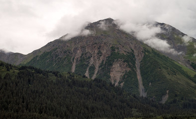 Cloud and pine tree covered mountain in Alaska