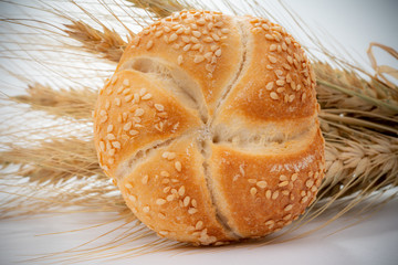 Fresh bread and spikes on white background
