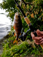 spinning fishing on a beautiful river