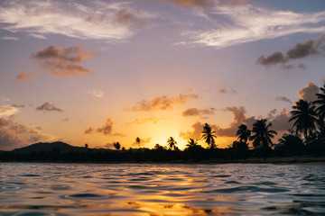 View from in the water looking back at Vieques island beach shore with palm trees and setting sun in Puerto Rico