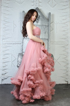 Portrait of fashionable young beauty girl in big long evening pink dress