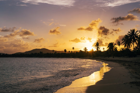 Vieques island beach shore with palm trees and setting sun in Puerto Rico