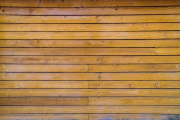 Pine wood wall to use as background.