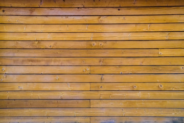 Obraz premium Pine wood wall to use as background.