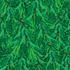 Seamless spruce pattern. Fir tree branch background. Vector illustration