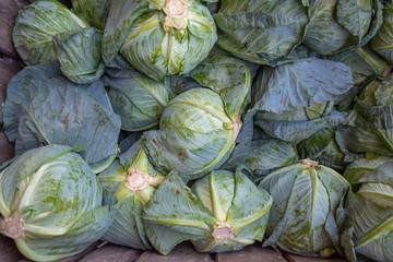 Fototapeta na wymiar Fresh Green Cabbages in a Farmer's Market