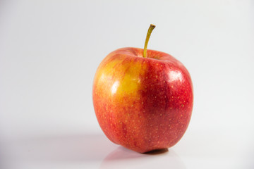 manzana gala