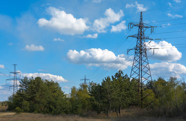  high-voltage  power lines at clouds and pine forest.