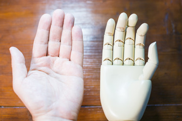real and prosthetic hand side by side
