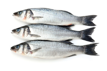 Fresh seabass fish on white background