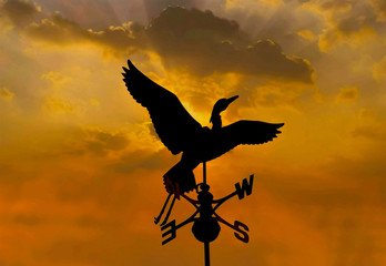 Bird Weathervane In The Sunset