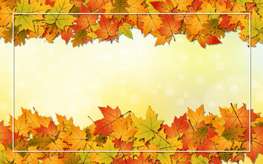 Autumn style vector background with fallen colorful leaves