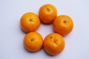 oranges on white background