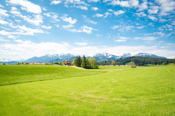 Grüne Bergwiesen im Allgäu im Frühjahr