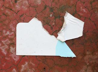 old torn paper texture on concrete background, copy space.