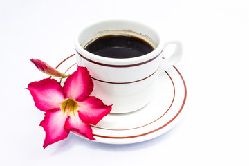 Premium coffee with adenium flowers