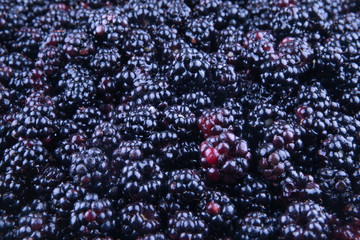 Ripe mulberries background