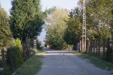 alley in the park