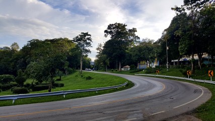 road in park