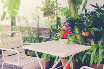 Flower vases placed on tables and chairs in the garden.