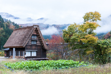 晩秋の白川郷と初雪