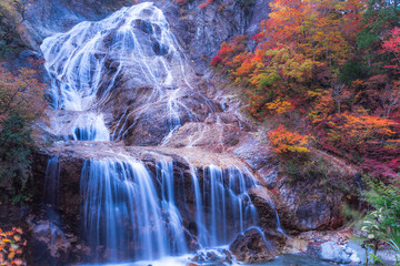 滝と紅葉って、鉄板だよね。