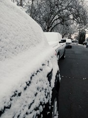 Snowy Cars