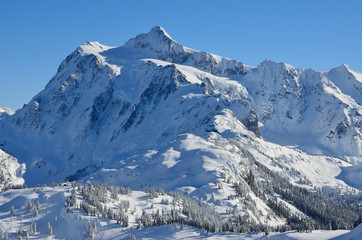 Mount Shuksan view from Baker Wilderness