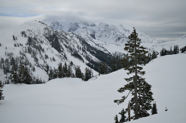 Mount Shuksan view from Baker Wilderness