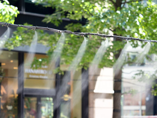 東京都　丸の内仲通りのドライミスト