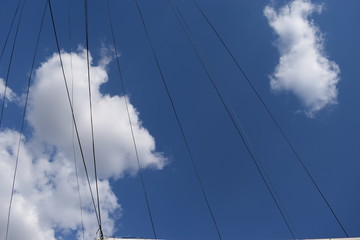 sky and wires