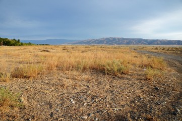 landscape with wheat field and blue sky