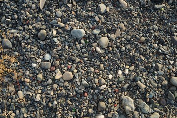 Fototapeta na wymiar Background of round gray pebbles!