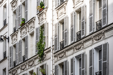 Curly green plants on the wall of an old high-rise apartment building with shutters