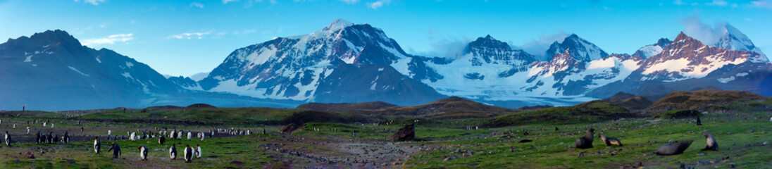Panorama Saint Andrews Bay Antarctica