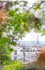 Eiffel Tower and rooftops through spring tree foliage