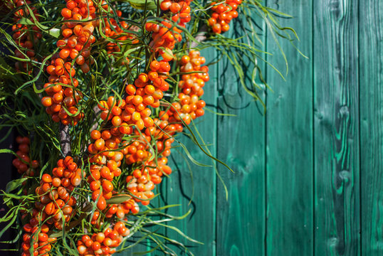 Orange sea buckthorn berries on a wooden background