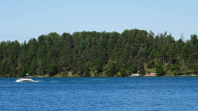 Beautiful Minnesota forest lake scene with a motor boat gliding past a pair of common loons and one loon flapping its wings under blue sky on a sunny afternoon.