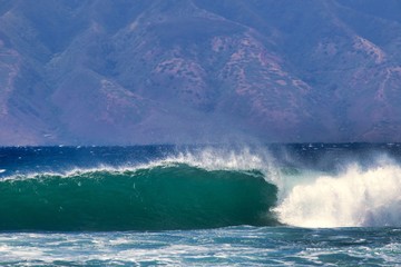 Colorful green-blue wave curling on its way to shore on Maui.
