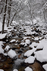 Arroyo con nieve en la Patagonia Argentina