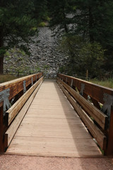 Obraz premium Looking across wooden bridge, centered